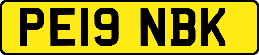PE19NBK