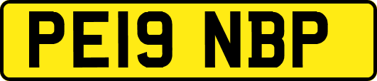 PE19NBP