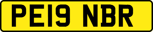 PE19NBR