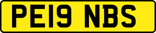 PE19NBS