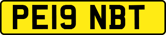 PE19NBT