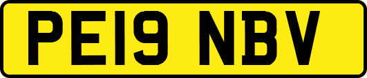 PE19NBV