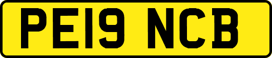 PE19NCB