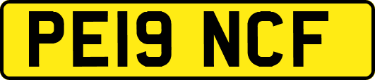 PE19NCF