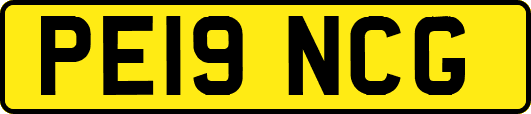 PE19NCG