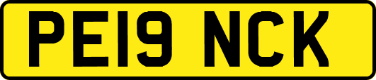 PE19NCK