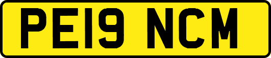 PE19NCM