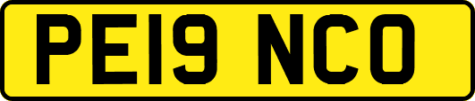 PE19NCO