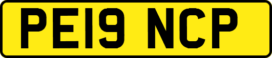 PE19NCP