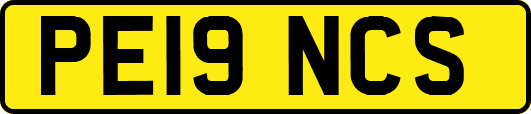 PE19NCS