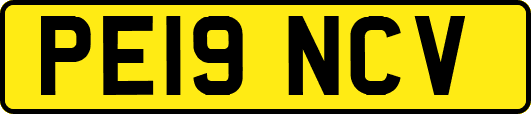 PE19NCV