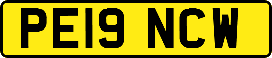 PE19NCW