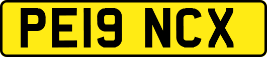 PE19NCX