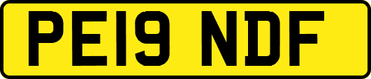 PE19NDF