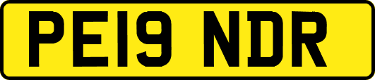 PE19NDR