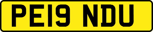 PE19NDU