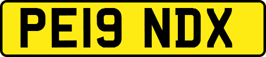 PE19NDX