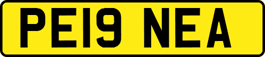 PE19NEA