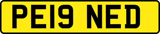 PE19NED