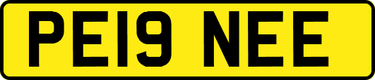 PE19NEE