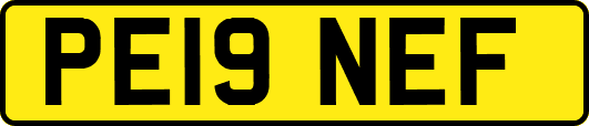 PE19NEF