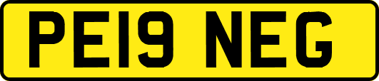 PE19NEG