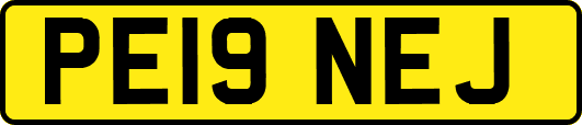 PE19NEJ