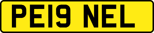 PE19NEL