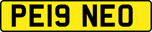 PE19NEO