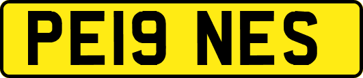 PE19NES