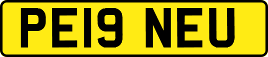 PE19NEU