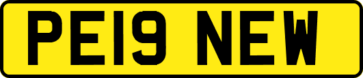 PE19NEW