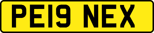 PE19NEX