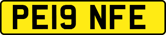 PE19NFE