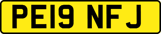 PE19NFJ