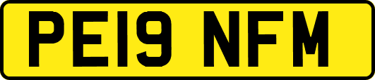 PE19NFM