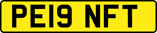 PE19NFT