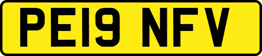PE19NFV