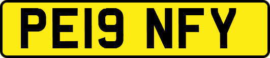 PE19NFY