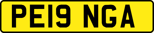PE19NGA