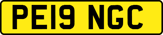PE19NGC