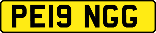 PE19NGG