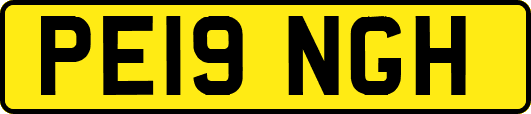PE19NGH