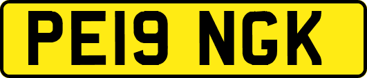 PE19NGK