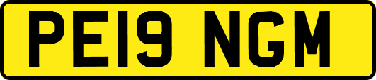 PE19NGM
