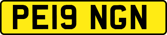 PE19NGN