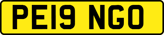 PE19NGO