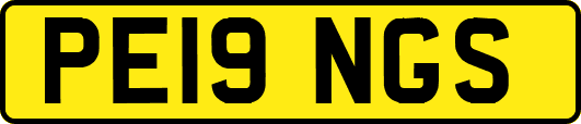 PE19NGS