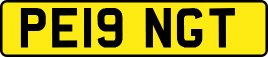 PE19NGT