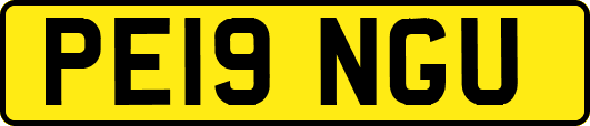 PE19NGU